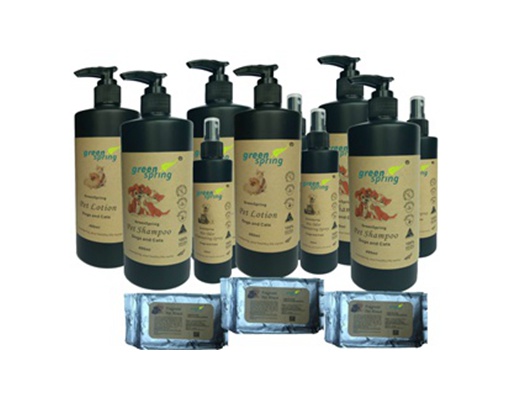 New Product Launch